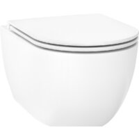 Wellsee Chalice Perfection RimFree 182607001 (чаша, пневмокрышка, глянцевый белый)