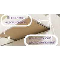 Рэйгрупп Aleksa РГ-02 ARG-2 4055145 (ясень снежный) Image #5