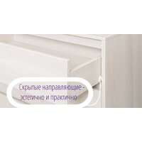 Рэйгрупп Aleksa РГ-02 ARG-2 4055145 (ясень снежный) Image #6