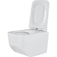 Roxen Boro в комплекте с инсталляцией StounFix Dual Fresh 6 в 1 968466 (кнопка: брашированное золото) Image #8