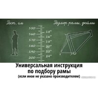 Велосипед AIST Cross 1.0 р.19 2023 (серый) - Превью изображения №2 — Интернет-Магазин TECNO.BY
