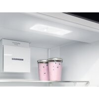 Холодильник Liebherr ICBSd 5122 Plus - Превью изображения №12 — Интернет-Магазин TECNO.BY