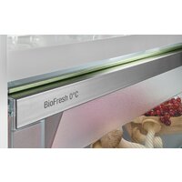 Холодильник Liebherr ICBSd 5122 Plus - Превью изображения №5 — Интернет-Магазин TECNO.BY