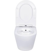 Roxen Antares Bidet в комплекте с инсталляцией StounFix Dual Fresh 6 в 1 968457 (кнопка: брашированное золото) Image #4