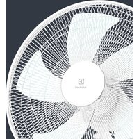 Electrolux EFF-1020i Image #3