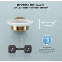 Wellsee Finishing Touch 182503000 с держателем (золотой) Image #7