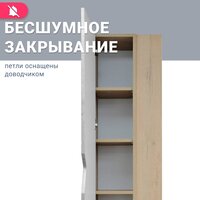 Doratiz Шкаф-пенал Фьорд 40 L 2712.304 (дуб бунратти/цемент,с подвесной) Image #9