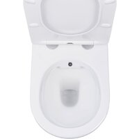Roxen Antares Bidet в комплекте с инсталляцией StounFix Dual Fresh 6 в 1 968424 (кнопка: сатин) Image #6