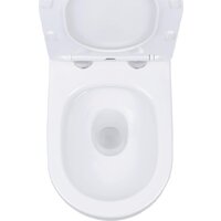 Roxen Antares в комплекте с инсталляцией StounFix Dual Fresh 6 в 1 868479 (кнопка: золото глянцевая) Image #12