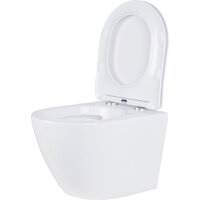 Roxen Antares в комплекте с инсталляцией StounFix Dual Fresh 6 в 1 868479 (кнопка: золото глянцевая) Image #10