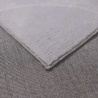 AksHome Homely RD 13 (200x300, светло-серый) Image #2