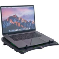 Miru CP2001 Enigma Image #9