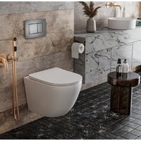 Инсталляция для унитаза Roxen StounFix Dual Fresh 859290 - Превью изображения №3 — Интернет-Магазин TECNO.BY