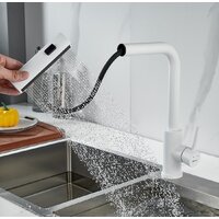 Shevanik S263C Image #12