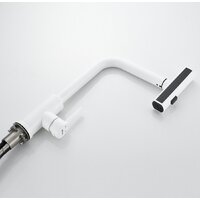 Shevanik S263C Image #19