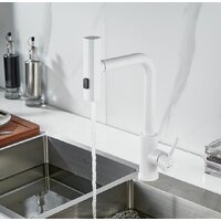 Shevanik S263C Image #8