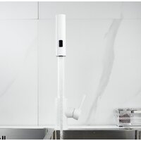 Shevanik S263C Image #15