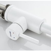 Shevanik S263C Image #27