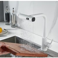 Shevanik S263C Image #10