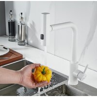 Shevanik S263C Image #9