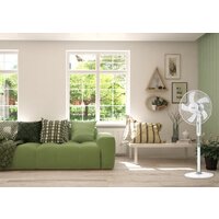 Ballu BFF-802 Image #8