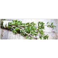 Orlix Зелень пряная GL-01056 30x80