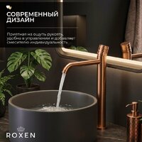 Смеситель Roxen Vine 50030129-BR - Превью изображения №3 — Интернет-Магазин TECNO.BY