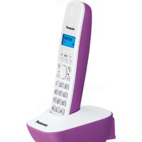 Panasonic KX-TG1611RUF Image #3