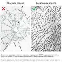 IDDIS Slide SLI6BS0i23 Image #4