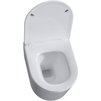 Roxen Simple compact в комплекте с инсталляцией StounFix Dual Fresh 6 в 1 968480 (кнопка: брашированное золото) Image #6