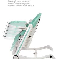 Farfello Bonitta (вечнозеленый) Image #4