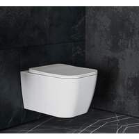 Унитаз подвесной Asten Readle Zentralmodul AR0601-135W - Превью изображения №18 — Интернет-Магазин TECNO.BY