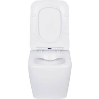 Унитаз подвесной Asten Readle Zentralmodul AR0601-135W - Превью изображения №13 — Интернет-Магазин TECNO.BY