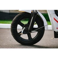 AVM Delta (белый) Image #11