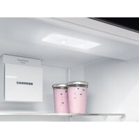 Холодильник Liebherr ICSe 5103 Pure 5103-20001 - Превью изображения №13 — Интернет-Магазин TECNO.BY
