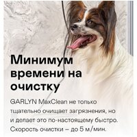 Garlyn MaxClean Image #10