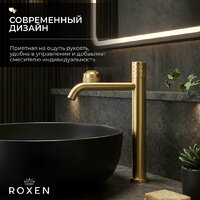 Смеситель Roxen Vine 50030129-GB - Превью изображения №3 — Интернет-Магазин TECNO.BY