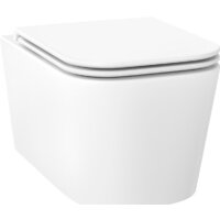 Wellsee Graceful Pro RimFree 182601001 (чаша, пневмокрышка, глянцевый белый)