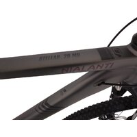 Nialanti Stellar MD 29 21.5 2024 (разобранный, серый) Image #5