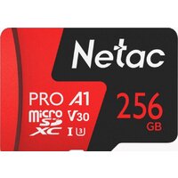 Netac P500 Extreme Pro 256GB NT02P500PRO-256G-S