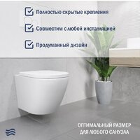 Унитаз подвесной Lauter Vortex 2110830+GROHE Rapid SL 39504000+37131000 с кнопкой (округлая, хром) - Превью изображения №6 — Интернет-Магазин TECNO.BY
