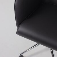 AksHome Bella XL chrome (Pegasso черный) Image #9