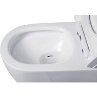 Roxen Porto в комплекте с инсталляцией StounFix Dual Fresh 6 в 1 576390 (кнопка: белый глянец) Image #8