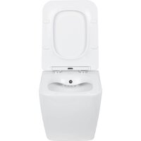Roxen Cube bidet в комплекте с инсталляцией StounFix Dual Fresh 6 в 1 968094 (кнопка: золото глянцевое ) Image #5