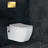 Roxen Cube bidet в комплекте с инсталляцией StounFix Dual Fresh 6 в 1 968094 (кнопка: золото глянцевое ) Image #9