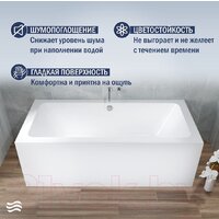 Lauter Olympia 180x80 21100080 (с ножками и лицевым экраном) Image #3