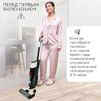 Вертикальный моющий пылесос Planta PL-CW201 - Превью изображения №17 — Интернет-Магазин TECNO.BY