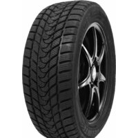 Delinte Winter WD1 235/45R18 98H