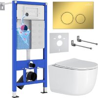 Roxen Vortex в комплекте с инсталляцией StounFix Dual Fresh 6 в 1 968046 (кнопка: золото глянцевое)