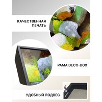 Декарт 8Л3663 Image #5